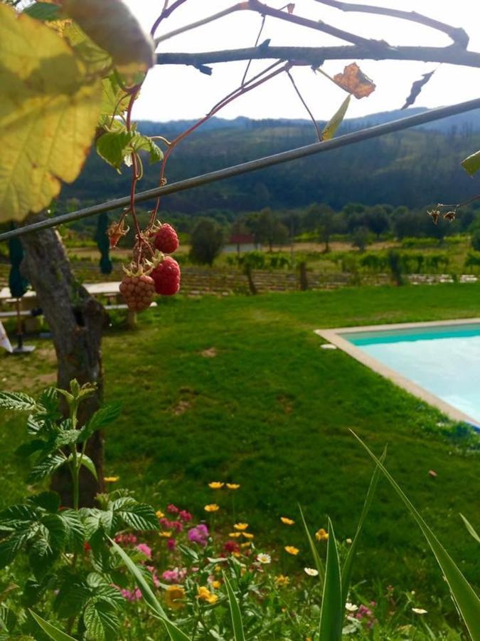 Quinta Da Aranha Villa Arcos de Valdevez Luaran gambar