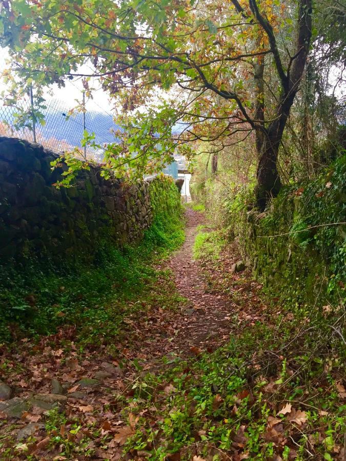 Quinta Da Aranha Villa Arcos de Valdevez Luaran gambar